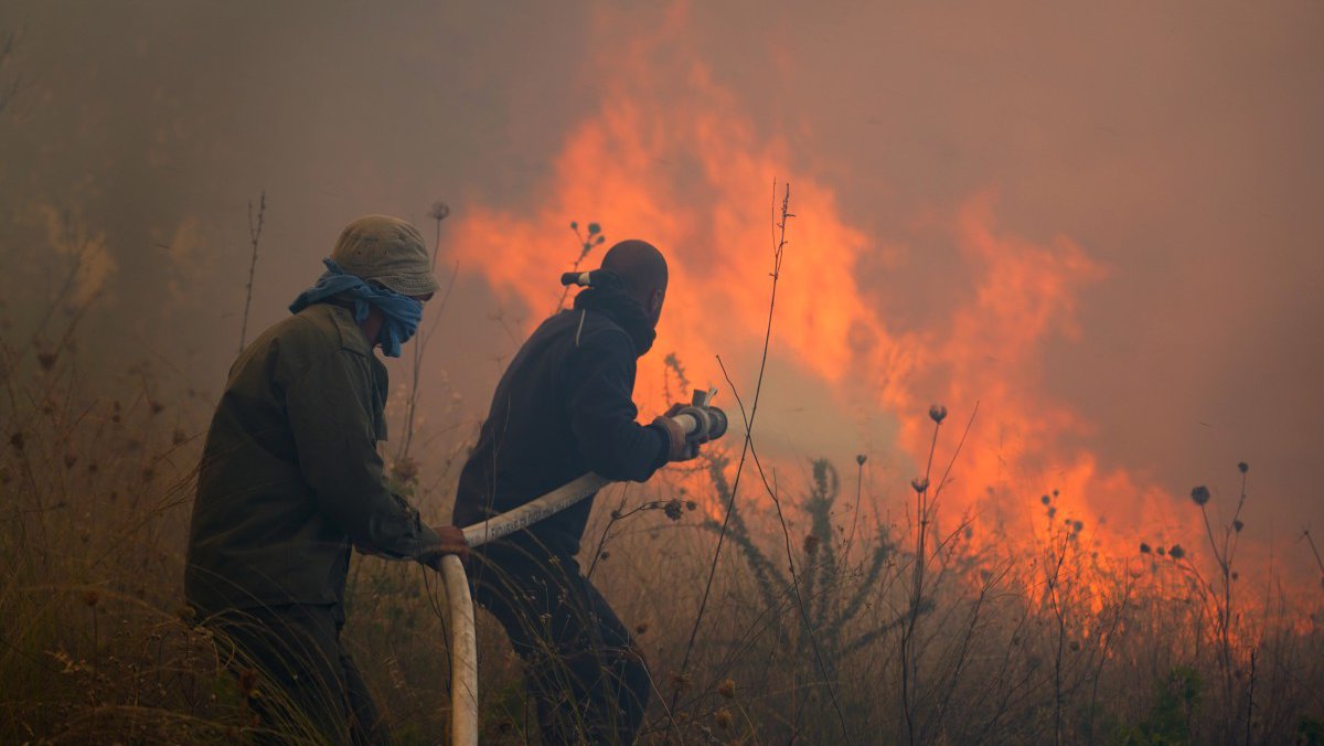 Μέχρι την Παρασκευή η έκθεση του Τμήματος Δασών Μέχρι την Παρασκευή η έκθεση του Τμήματος Δασών