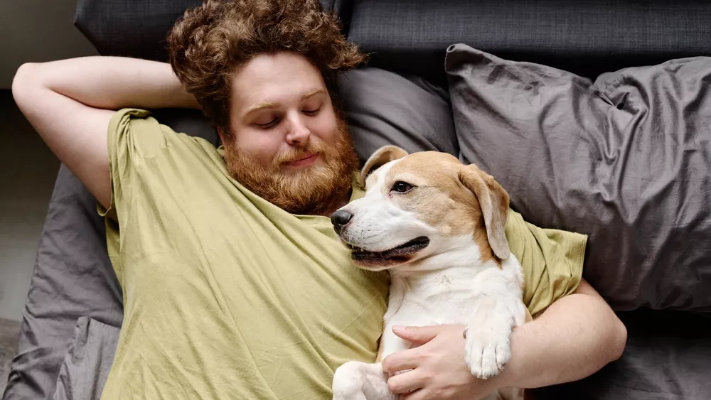 &Pi;&alpha;&chi;&upsilon;&sigma;&alpha;&rho;&kappa;ί&alpha; &sigma;&epsilon; &iota;&delta;&iota;&omicron;&kappa;&tau;ή&tau;&eta; &kappa;&alpha;&iota; &kappa;&alpha;&tau;&omicron;&iota;&kappa;ί&delta;&iota;&omicron; &ndash; Έ&rho;&epsilon;&upsilon;&nu;&alpha; &phi;&omega;&tau;ί&zeta;&epsilon;&iota; έ&nu;&alpha; &nu;έ&omicron; &pi;&rho;ό&beta;&lambda;&eta;&mu;&alpha; &laquo;&Epsilon;&nu;&iota;&alpha;ί&alpha;&sigmaf; &Upsilon;&gamma;&epsilon;ί&alpha;&sigmaf;&raquo;