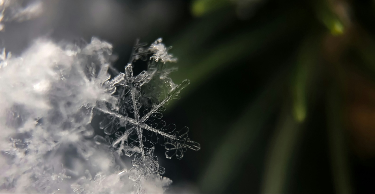 &Tau;&sigma;&omicron;&upsilon;&chi;&tau;&epsilon;&rho;ό &kappa;&rho;ύ&omicron; &kappa;&alpha;&iota; &pi;&alpha;&gamma;&epsilon;&tau;ό&sigmaf;: &Sigma;&tau;&eta;&nu; &laquo;&kappa;&alpha;&tau;ά&psi;&upsilon;&xi;&eta;&raquo; &eta; &Kappa;ύ&pi;&rho;&omicron;&sigmaf; &mu;έ&chi;&rho;&iota; &tau;&eta; &Delta;&epsilon;&upsilon;&tau;έ&rho;&alpha;