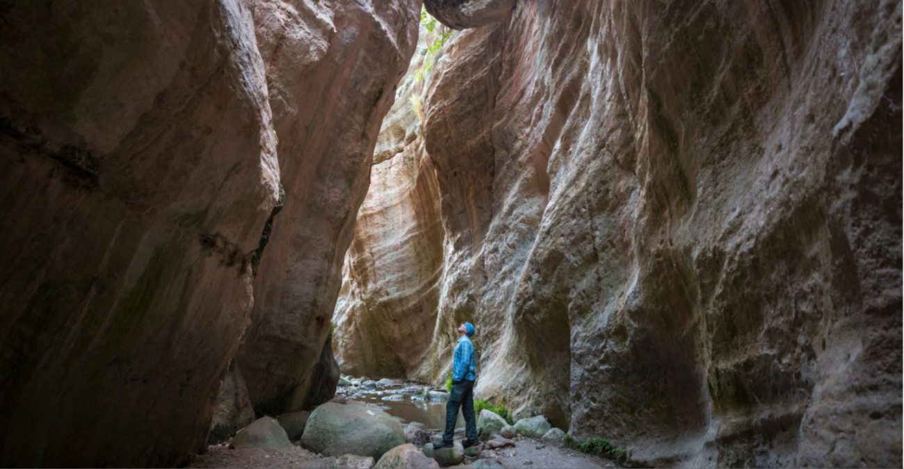 Καμπανάκι από το Τμήμα Δασών: Μην πλησιάζετε το Φαράγγι του Άβακα – Γιατί δεν πρέπει να το επισκεφθείτε