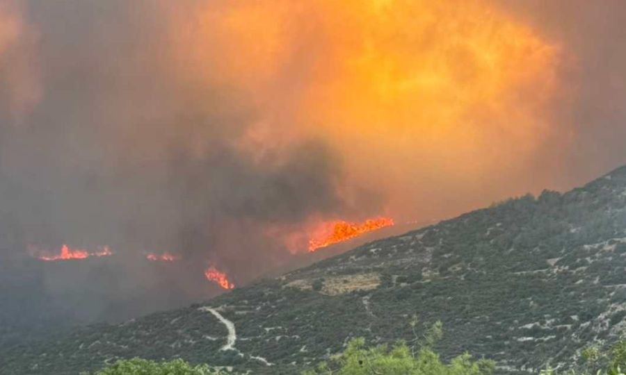 Πυρκαγιά στην ορεινή Λεμεσό: Νέα ηλεκτρονική υπηρεσία για Δήλωση Ζημιάς πυρόπληκτων γεωργών-κτηνοτρόφων Πυρκαγιά στην ορεινή Λεμεσό: Νέα ηλεκτρονική υπηρεσία για Δήλωση Ζημιάς πυρόπληκτων γεωργών-κτηνοτρόφων