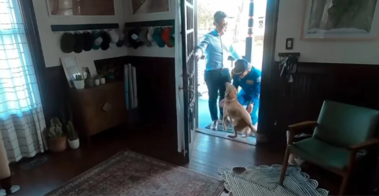 ΒΙΝΤΕΟ: Η αστροναύτης του Artemis II βλέπει το σκυλάκι της μετά από μέρες - Η επανένωση έγινε viral στο διαδίκτυο