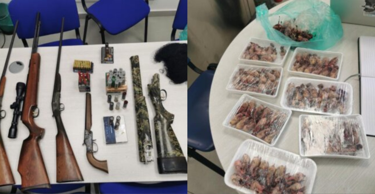 Χειροπέδες σε 55χρονο για λαθροθηρία – Κατασχέθηκαν δεκάδες νεκρά άγρια πτηνά και ζώα Χειροπέδες σε 55χρονο για λαθροθηρία – Κατασχέθηκαν δεκάδες νεκρά άγρια πτηνά και ζώα