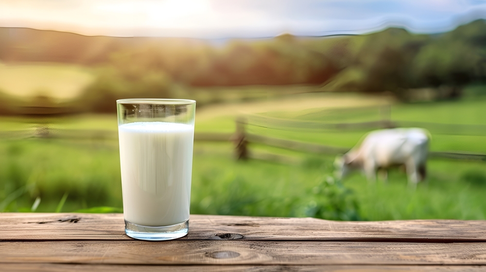 &Delta;&iota;&alpha;&tau;&rho;&omicron;&phi;ή &chi;&omega;&rho;ί&sigmaf; &lambda;&alpha;&kappa;&tau;ό&zeta;&eta;: &Tau;&iota; &beta;&rho;ί&sigma;&kappa;&omicron;&upsilon;&mu;&epsilon; &sigma;&tau;&omicron; &rho;ά&phi;&iota; &kappa;&alpha;&iota; &tau;&iota; &nu;&alpha; &pi;&rho;&omicron;&sigma;έ&chi;&omicron;&upsilon;&mu;&epsilon;