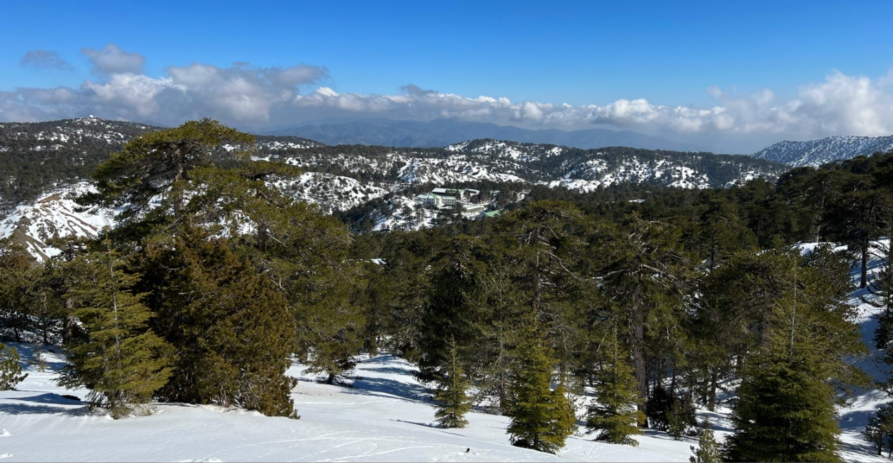 Ά&sigma;&tau;&alpha;&tau;&omicron;&sigmaf; &kappa;&alpha;&iota;&rho;ό&sigmaf; &mu;&epsilon; &kappa;&alpha;&tau;&alpha;&iota;&gamma;ί&delta;&epsilon;&sigmaf; &kappa;&alpha;&iota; &chi;&iota;ό&nu;&iota;&alpha; &sigma;&tau;&alpha; &omicron;&rho;&epsilon;&iota;&nu;ά &ndash; &Sigma;&epsilon; &iota;&sigma;&chi;ύ &kappa;ί&tau;&rho;&iota;&nu;&eta; &pi;&rho;&omicron;&epsilon;&iota;&delta;&omicron;&pi;&omicron;ί&eta;&sigma;&eta;