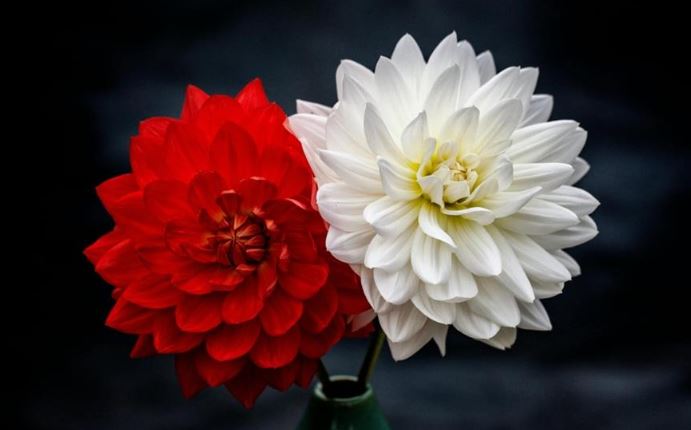 &Epsilon;&omicron;&rho;&tau;&omicron;&lambda;ό&gamma;&iota;&omicron;: &Pi;&omicron;&iota;&omicron;&iota; &gamma;&iota;&omicron;&rho;&tau;ά&zeta;&omicron;&upsilon;&nu; &sigma;ή&mu;&epsilon;&rho;&alpha;, &Pi;&alpha;&rho;&alpha;&sigma;&kappa;&epsilon;&upsilon;ή 27 &Phi;&epsilon;&beta;&rho;&omicron;&upsilon;&alpha;&rho;ί&omicron;&upsilon; &ndash; &Mu;&eta;&nu; &xi;&epsilon;&chi;ά&sigma;&epsilon;&tau;&epsilon; &nu;&alpha; &tau;&omicron;&upsilon;&sigmaf; &epsilon;&upsilon;&chi;&eta;&theta;&epsilon;ί&tau;&epsilon;