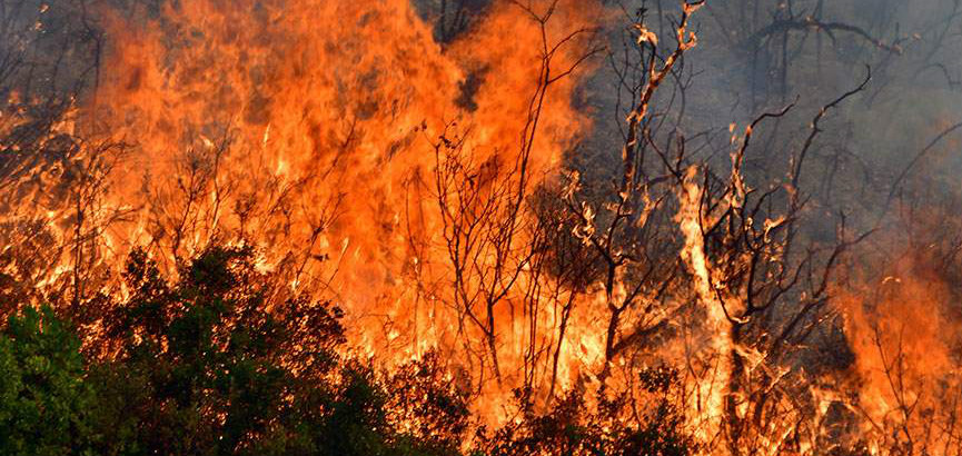 Κόκκινος συναγερμός για πυρκαγιές λόγω της ακραίας ζέστης