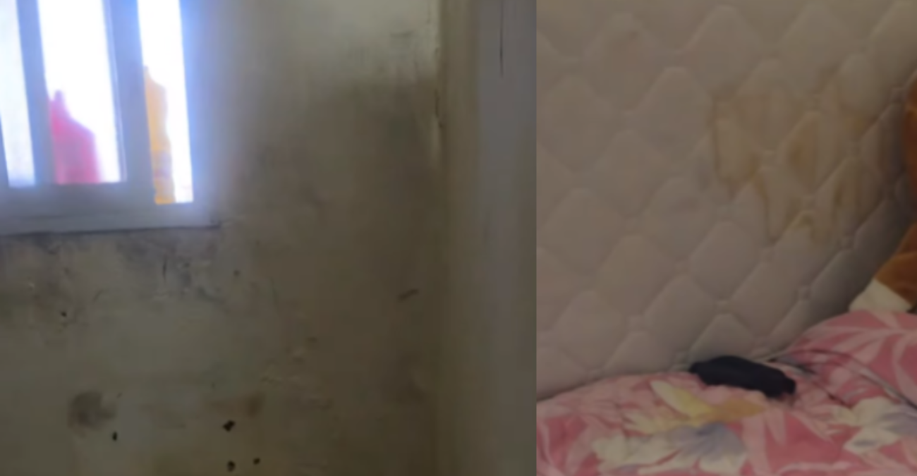 &Beta;ί&nu;&tau;&epsilon;&omicron; &pi;&omicron;&upsilon; &sigma;&upsilon;&gamma;&kappa;&lambda;&omicron;&nu;ί&zeta;&epsilon;&iota;: &Omicron;&iota;&kappa;&omicron;&gamma;έ&nu;&epsilon;&iota;&alpha; &sigma;&tau;&eta; &Kappa;ύ&pi;&rho;&omicron; &mu;&epsilon; &tau;έ&sigma;&sigma;&epsilon;&rho;&alpha; &pi;&alpha;&iota;&delta;&iota;ά &zeta;&epsilon;&iota; &sigma;&epsilon; ά&theta;&lambda;&iota;&epsilon;&sigmaf; &sigma;&upsilon;&nu;&theta;ή&kappa;&epsilon;&sigmaf; &ndash; &Epsilon;&iota;&kappa;ό&nu;&epsilon;&sigmaf; &pi;&omicron;&upsilon; &alpha;&eta;&delta;&iota;ά&zeta;&omicron;&upsilon;&nu;