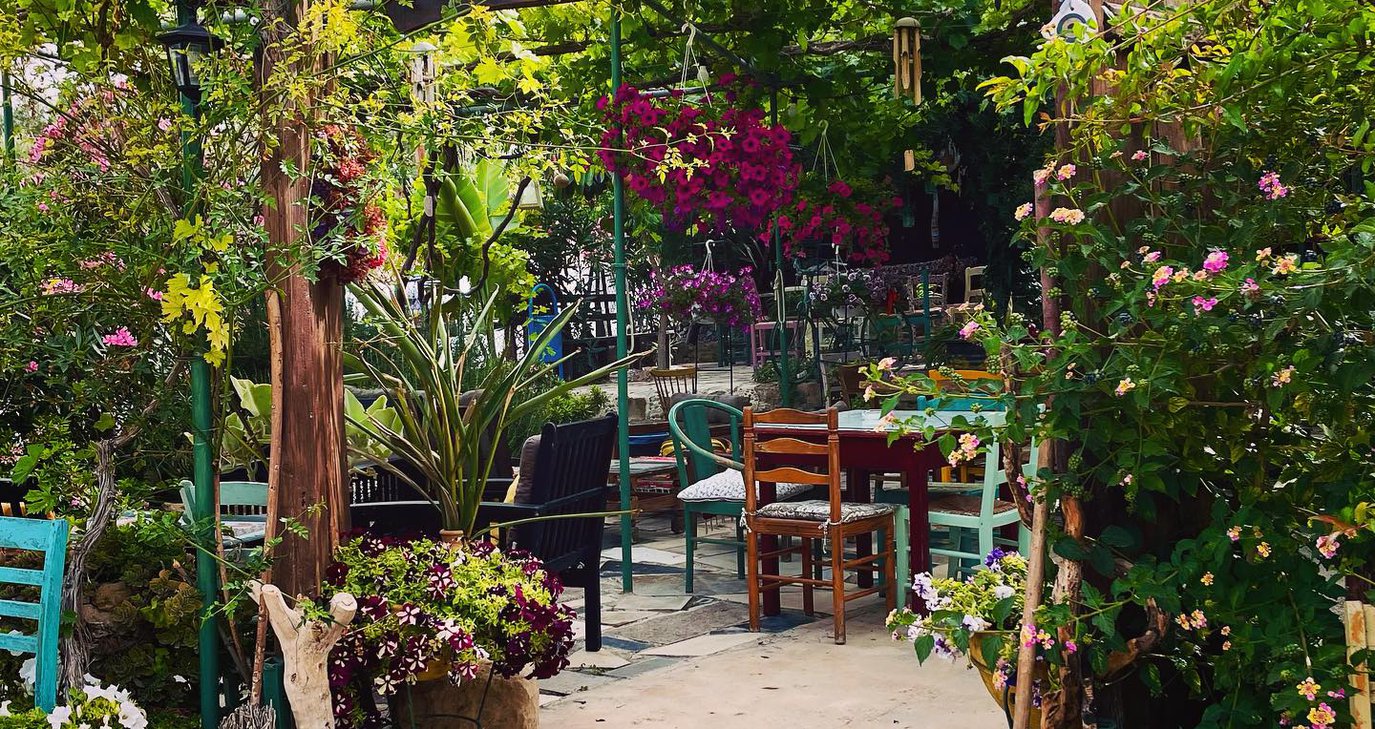 Προλαβαίνεις να πιείς τον καφέ σου σε μια δροσερή αυλή - Γνωστό παραδοσιακό καφενείο δίνει το τελευταίο ραντεβού για φέτος