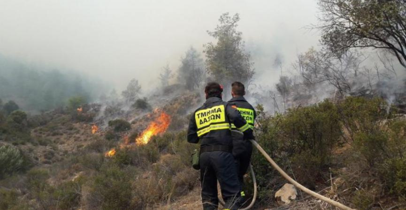 Πρόλαβαν τα χειρότερα: Υπό πλήρη έλεγχο δασική πυρκαγιά στην Πόλη Χρυσοχούς Πρόλαβαν τα χειρότερα: Υπό πλήρη έλεγχο δασική πυρκαγιά στην Πόλη Χρυσοχούς