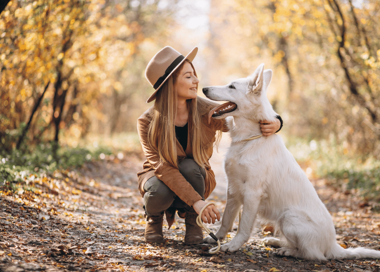 &Eta; &pi;&rho;&omicron;&sigma;&omega;&pi;&iota;&kappa;ό&tau;&eta;&tau;&alpha; &tau;&omicron;&upsilon; &sigma;&kappa;ύ&lambda;&omicron;&upsilon; &kappa;&alpha;&theta;&omicron;&rho;ί&zeta;&epsilon;&tau;&alpha;&iota; &alpha;&pi;ό &tau;&eta; &phi;&upsilon;&lambda;ή &tau;&omicron;&upsilon;; &Kappa;&alpha;&tau;ά &pi;ό&sigma;&omicron; &iota;&sigma;&chi;ύ&epsilon;&iota;
