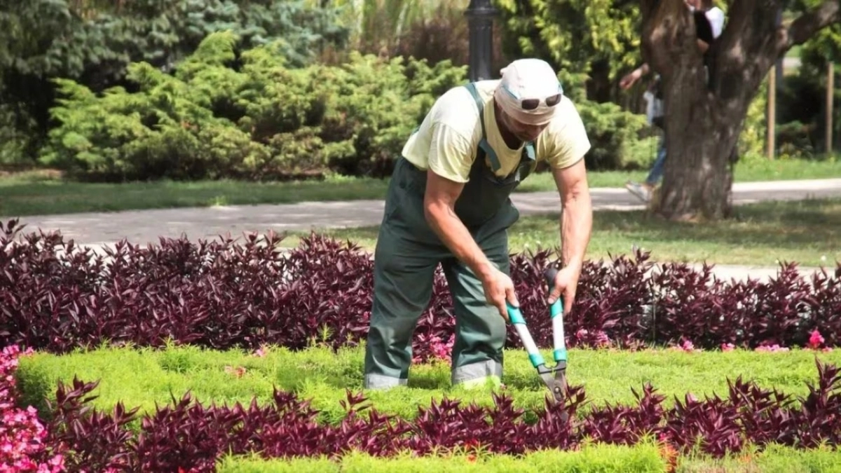 Δέκα ράβδοι χρυσού κάτω από τα πόδια του