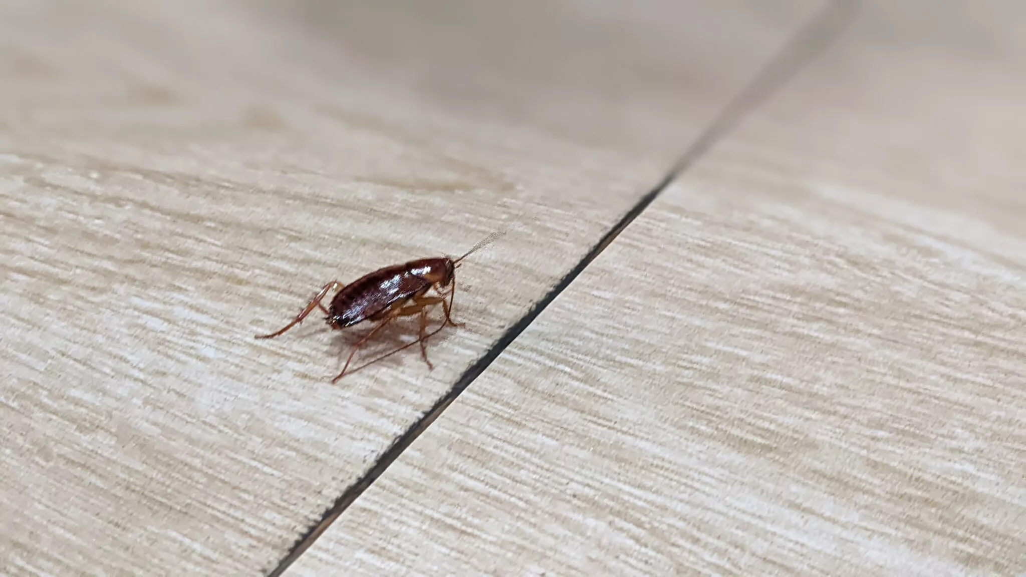 &Gamma;&iota;&alpha;&tau;ί &beta;&lambda;έ&pi;&omicron;&upsilon;&mu;&epsilon; &kappa;&alpha;&tau;&sigma;&alpha;&rho;ί&delta;&epsilon;&sigmaf; &tau;&omicron;&nu; &chi;&epsilon;&iota;&mu;ώ&nu;&alpha;; &Omicron;&iota; &lambda;ό&gamma;&omicron;&iota; &pi;&omicron;&upsilon; ί&sigma;&omega;&sigmaf; &delta;&epsilon;&nu; &gamma;&nu;&omega;&rho;ί&zeta;&alpha;&mu;&epsilon;