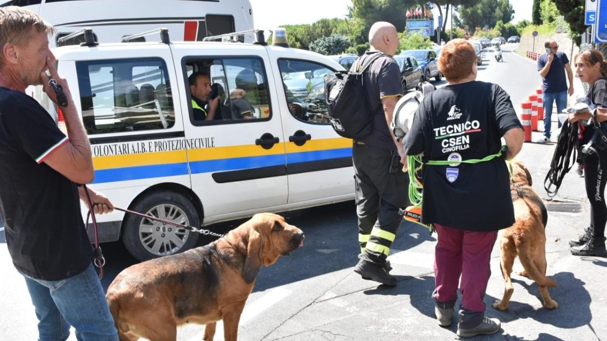 Πεντάχρονο αγόρι εξαφανίστηκε από κάμπινγκ – Έρευνα στο σπίτι μάρτυρα