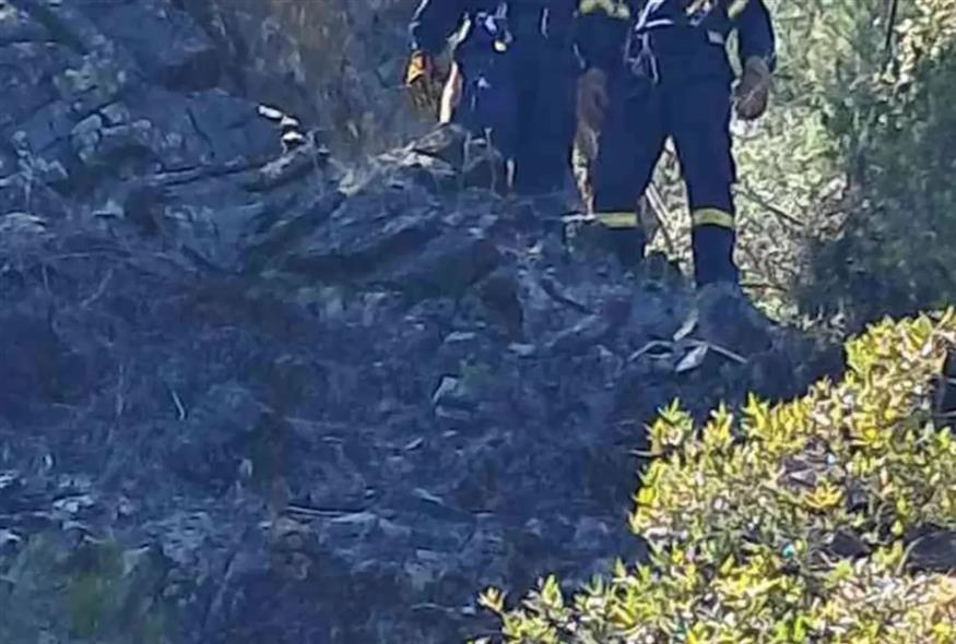 Τραγωδία στην Εύβοια: Πυροσβέστες έσβηναν φωτιά σε χωράφι και βρήκαν απανθρακωμένο πτώμα
