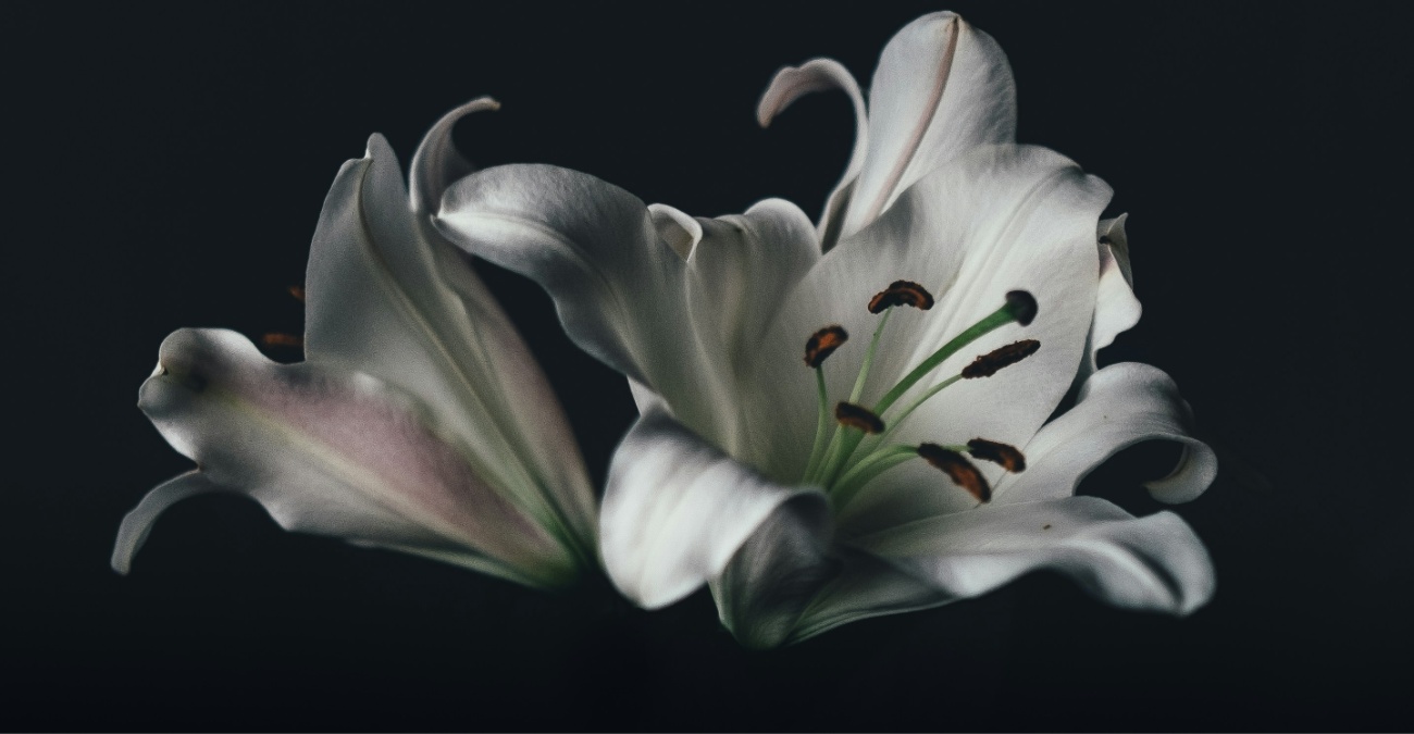 Θλίψη στη Λευκωσία για τον θάνατο του Ανδρέα Ππασιά – Πότε θα τελεστεί η κηδεία