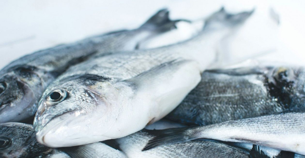 Έχει πάνω από 70 παράσιτα