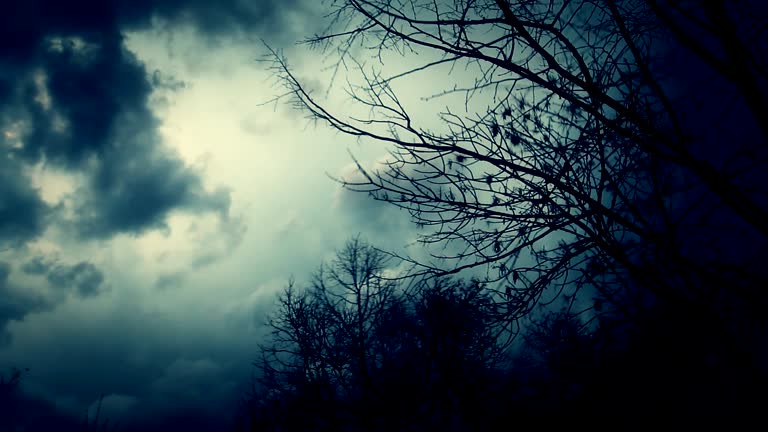 &Pi;&rho;ό&gamma;&nu;&omega;&sigma;&eta; &kappa;&alpha;&iota;&rho;&omicron;ύ: &laquo;&Theta;&alpha; &mu;&alpha;&sigmaf; &pi;ά&rho;&omicron;&upsilon;&nu; &kappa;&alpha;&iota; &theta;&alpha; &mu;&alpha;&sigmaf; &sigma;&eta;&kappa;ώ&sigma;&omicron;&upsilon;&nu;&raquo; &omicron;&iota; &iota;&sigma;&chi;&upsilon;&rho;&omicron;ί ά&nu;&epsilon;&mu;&omicron;&iota; - &Pi;ό&tau;&epsilon; &kappa;&alpha;&iota; &sigma;&epsilon; &pi;&omicron;&iota;&epsilon;&sigmaf; &pi;&epsilon;&rho;&iota;&omicron;&chi;έ&sigmaf; &alpha;&nu;&alpha;&mu;έ&nu;&omicron;&nu;&tau;&alpha;&iota; &beta;&rho;&omicron;&chi;έ&sigmaf;