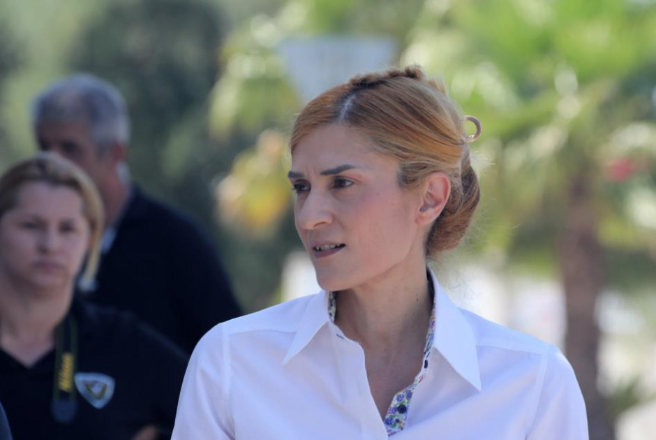 Επιστολή Κρις Τριανταφυλλίδη σε Υπουργικό