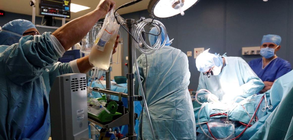 &Iota;&tau;&alpha;&lambda;ί&alpha;: &Delta;ί&chi;&rho;&omicron;&nu;&omicron; &pi;&alpha;&iota;&delta;ί &kappa;&iota;&nu;&delta;&upsilon;&nu;&epsilon;ύ&epsilon;&iota; &nu;&alpha; &pi;&epsilon;&theta;ά&nu;&epsilon;&iota; έ&pi;&epsilon;&iota;&tau;&alpha; &alpha;&pi;ό &pi;&rho;&omega;&tau;&omicron;&phi;&alpha;&nu;έ&sigmaf; &iota;&alpha;&tau;&rho;&iota;&kappa;ό &lambda;ά&theta;&omicron;&sigmaf; &sigma;&epsilon; &mu;&epsilon;&tau;&alpha;&mu;ό&sigma;&chi;&epsilon;&upsilon;&sigma;&eta;