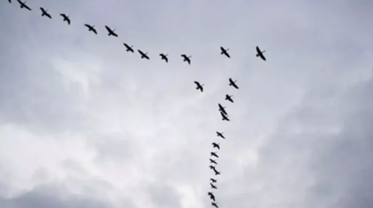 VIDEO: &Epsilon;&tau;&omicron;&iota;&mu;&omicron;&pi;ό&lambda;&epsilon;&mu;&alpha; &mu;έ&chi;&rho;&iota; &kappa;&alpha;&iota; &tau;&alpha; &pi;&omicron;&upsilon;&lambda;&iota;ά &ndash; &Sigma;&epsilon; &sigma;&chi;&eta;&mu;&alpha;&tau;&iota;&sigma;&mu;ό &kappa;&alpha;&iota;&hellip; &phi;&omicron;&upsilon;&lambda; &epsilon;&pi;&alpha;&nu;&delta;&rho;&omega;&mu;έ&nu;&alpha;