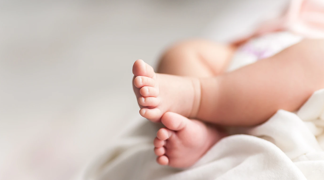 &Delta;ί&nu;&epsilon;&iota; &mu;ά&chi;&eta; &gamma;&iota;&alpha; &tau;&eta; &zeta;&omega;ή &tau;&omicron; &tau;&rho;ί&mu;&eta;&nu;&omicron; &alpha;&gamma;&omicron;&rho;ά&kappa;&iota; - &Tau;&alpha; &nu;&epsilon;ό&tau;&epsilon;&rho;&alpha; &mu;&epsilon; &tau;&eta;&nu; &kappa;&alpha;&tau;ά&sigma;&tau;&alpha;&sigma;&eta; &upsilon;&gamma;&epsilon;ί&alpha;&sigmaf; &tau;&omicron;&upsilon;