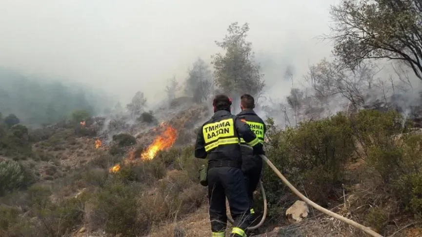 Ξέσπασε φωτιά στη Λεμεσό - Πολίτες είδαν τους καπνούς και ενημέρωσαν άμεσα το Τμήμα Δασών που πρόλαβε τα χειρότερα