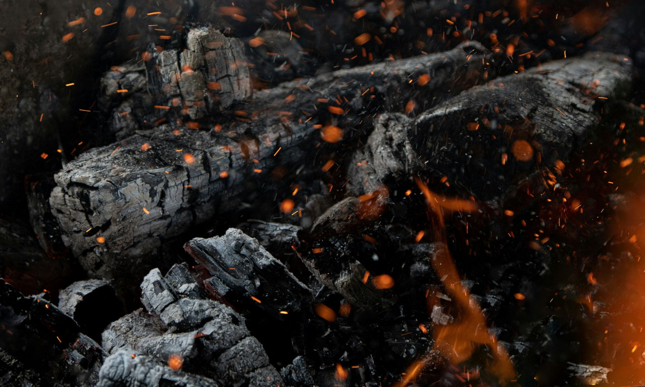 &Alpha;&pi;ί&sigma;&tau;&epsilon;&upsilon;&tau;&omicron; &pi;&epsilon;&rho;&iota;&sigma;&tau;&alpha;&tau;&iota;&kappa;ό: Έ&kappa;&alpha;&nu;&alpha;&nu; &psi;&epsilon;ύ&tau;&iota;&kappa;&eta; &kappa;&eta;&delta;&epsilon;ί&alpha; &gamma;&iota;&alpha; &nu;&alpha; &mu;&epsilon;&tau;&alpha;&phi;έ&rho;&omicron;&upsilon;&nu; &lambda;&alpha;&theta;&rho;&alpha;ί&omicron; &xi;&upsilon;&lambda;&omicron;&kappa;ά&rho;&beta;&omicron;&upsilon;&nu;&omicron;