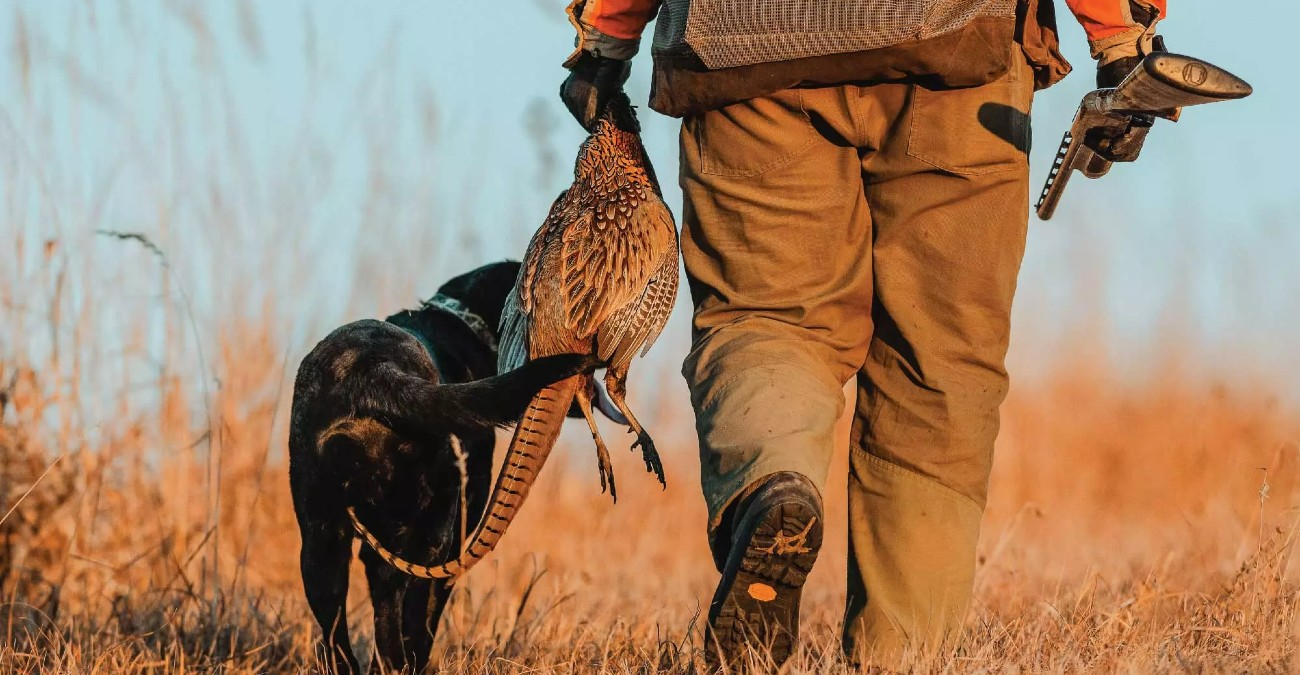 Έφοδος σε οικίες: Και τι δεν εντόπισαν – Από κρανία αγρινών μέχρι νεκρά ζώα και… όπλα Έφοδος σε οικίες: Και τι δεν εντόπισαν – Από κρανία αγρινών μέχρι νεκρά ζώα και… όπλα