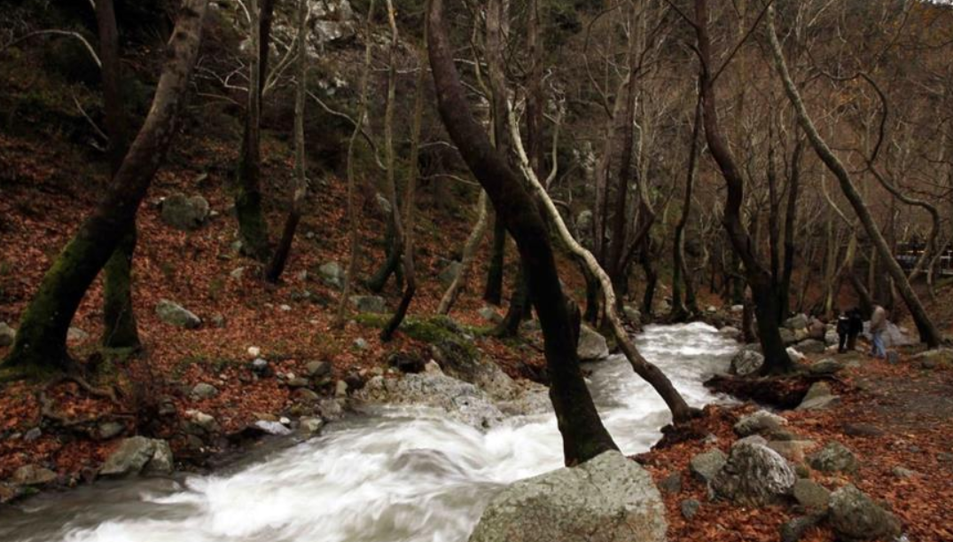 Το viral χωριό στο TikTok που δεν μπορείς να πας Κυριακή ή αργία Το viral χωριό στο TikTok που δεν μπορείς να πας Κυριακή ή αργία