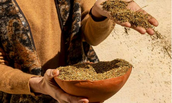 Αυτό το βότανο ανακουφίζει από την ήπια κατάθλιψη - Βάλσαμο για τη ψυχή