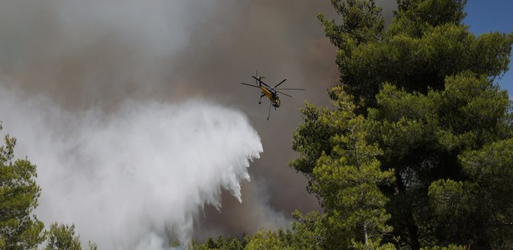 &Phi;&omega;&tau;&iota;έ&sigmaf; &sigma;&tau;&eta;&nu; &Epsilon;&lambda;&lambda;ά&delta;&alpha;: &Kappa;&rho;ί&sigma;&iota;&mu;&epsilon;&sigmaf; ώ&rho;&epsilon;&sigmaf; &gamma;&iota;&alpha; &tau;&eta; &Beta;έ&nu;&iota;&zeta;&alpha; &ndash; &Alpha;&gamma;&omega;&nu;ί&alpha; &nu;&alpha; &mu;&eta; &phi;&tau;ά&sigma;&epsilon;&iota; &sigma;&epsilon; &Beta;ί&lambda;&iota;&alpha; &kappa;&alpha;&iota; &Mu;έ&gamma;&alpha;&rho;&alpha;- Ά&rho;&chi;&iota;&sigma;&alpha;&nu; &nu;&alpha; &epsilon;&pi;&iota;&chi;&epsilon;&iota;&rho;&omicron;ύ&nu; &kappa;&alpha;&iota; &alpha;&epsilon;&rho;&omicron;&sigma;&kappa;ά&phi;&eta;