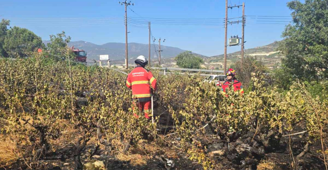 «Δεν είναι τυχαίες» – Δύο πυρκαγιές κοντά στο Όμοδος μέσα σε δύο βδομάδες