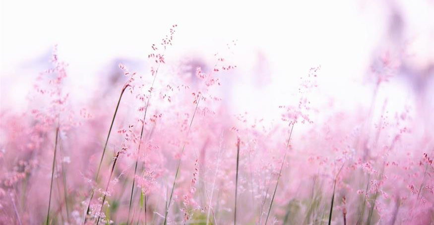 Ποιοι γιορτάζουν σήμερα Κυριακή 16 Νοεμβρίου