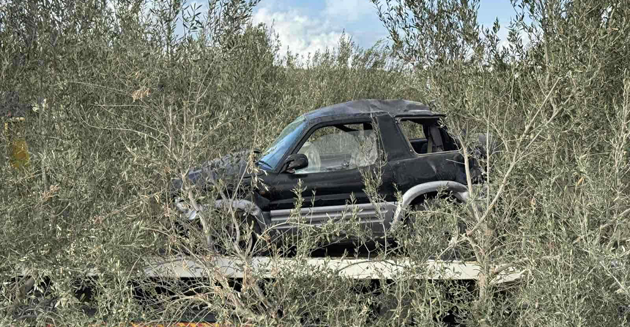 Τροχαίο στην Αθηένου: Απέκοψε 8 ελιές το αυτοκινήτο πριν ακινητοποιηθεί