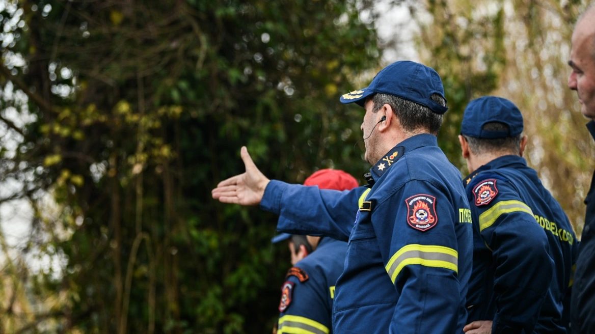 Αγωνία για τον ορειβάτη που χτυπήθηκε από επίθεση αρκούδας στο Φρακτό Δράμας - Έπεσε σε χαράδρα 1.000 μέτρων