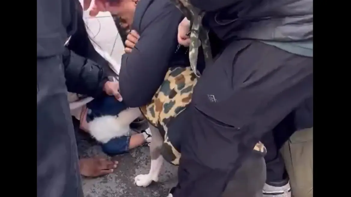 Τρόμος για παιδί 1 έτους στη Νέα Υόρκη: Του επιτέθηκε πίτμπουλ και δεν το άφηνε από τα σαγόνια του