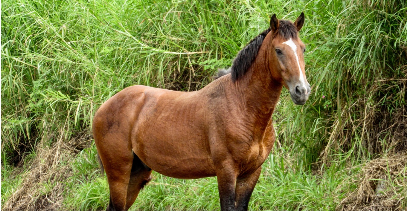 Ά&lambda;&omicron;&gamma;&omicron; &tau;&omicron; &sigma;&kappa;&alpha;&sigma;&epsilon; &kappa;&alpha;&iota; έ&kappa;&alpha;&nu;&epsilon; &beta;ό&lambda;&tau;&alpha; &sigma;&tau;&omicron;&nu; &Pi;&rho;&omega;&tau;&alpha;&rho;ά - &Tau;&omicron; &beta;ί&nu;&tau;&epsilon;&omicron; &pi;&omicron;&upsilon; έ&kappa;&alpha;&nu;&epsilon; &tau;&omicron;&nu; &gamma;ύ&rho;&omicron; &tau;&omicron;&upsilon; Facebook