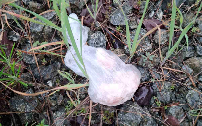 &Sigma;&upsilon;&nu;&alpha;&gamma;&epsilon;&rho;&mu;ό&sigmaf; &gamma;&iota;&alpha; &delta;&eta;&lambda;&eta;&tau;&eta;&rho;&iota;&alpha;&sigma;&mu;έ&nu;&alpha; &delta;&omicron;&lambda;ώ&mu;&alpha;&tau;&alpha; &sigma;&epsilon; &pi;&epsilon;&rho;&iota;&omicron;&chi;ή &tau;&eta;&sigmaf; &Lambda;&epsilon;&mu;&epsilon;&sigma;&omicron;ύ - &Delta;&epsilon;ί&tau;&epsilon; &phi;&omega;&tau;&omicron;&gamma;&rho;&alpha;&phi;ί&epsilon;&sigmaf;