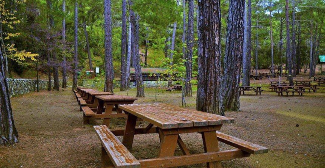 &Sigma;&tau;&eta;&nu; &epsilon;&pi;ό&mu;&epsilon;&nu;&eta; O&lambda;&omicron;&mu;έ&lambda;&epsilon;&iota;&alpha; &tau;&omicron; &nu;&omicron;&mu;&omicron;&sigma;&chi;έ&delta;&iota;&omicron; &gamma;&iota;&alpha; &tau;&iota;&sigmaf; &pi;&alpha;&rho;&alpha;&kappa;&omicron;&lambda;&omicron;&upsilon;&theta;ή&sigma;&epsilon;&iota;&sigmaf; &tau;&eta;&sigmaf; &Kappa;&Upsilon;&Pi;