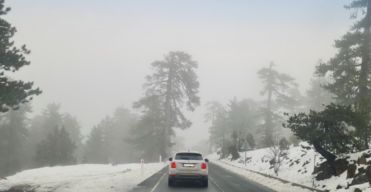 &Mu;&alpha;&gamma;&epsilon;&upsilon;&tau;&iota;&kappa;έ&sigmaf; &epsilon;&iota;&kappa;ό&nu;&epsilon;&sigmaf; &alpha;&pi;ό &tau;&omicron; &kappa;&alpha;&tau;ά&lambda;&epsilon;&upsilon;&kappa;&omicron; &Tau;&rho;ό&omicron;&delta;&omicron;&sigmaf; - &Delta;&epsilon;ί&tau;&epsilon; &beta;ί&nu;&tau;&epsilon;&omicron; &alpha;&pi;ό &tau;&eta;&nu; &pi;&upsilon;&kappa;&nu;ή &chi;&iota;&omicron;&nu;ό&pi;&tau;&omega;&sigma;&eta;