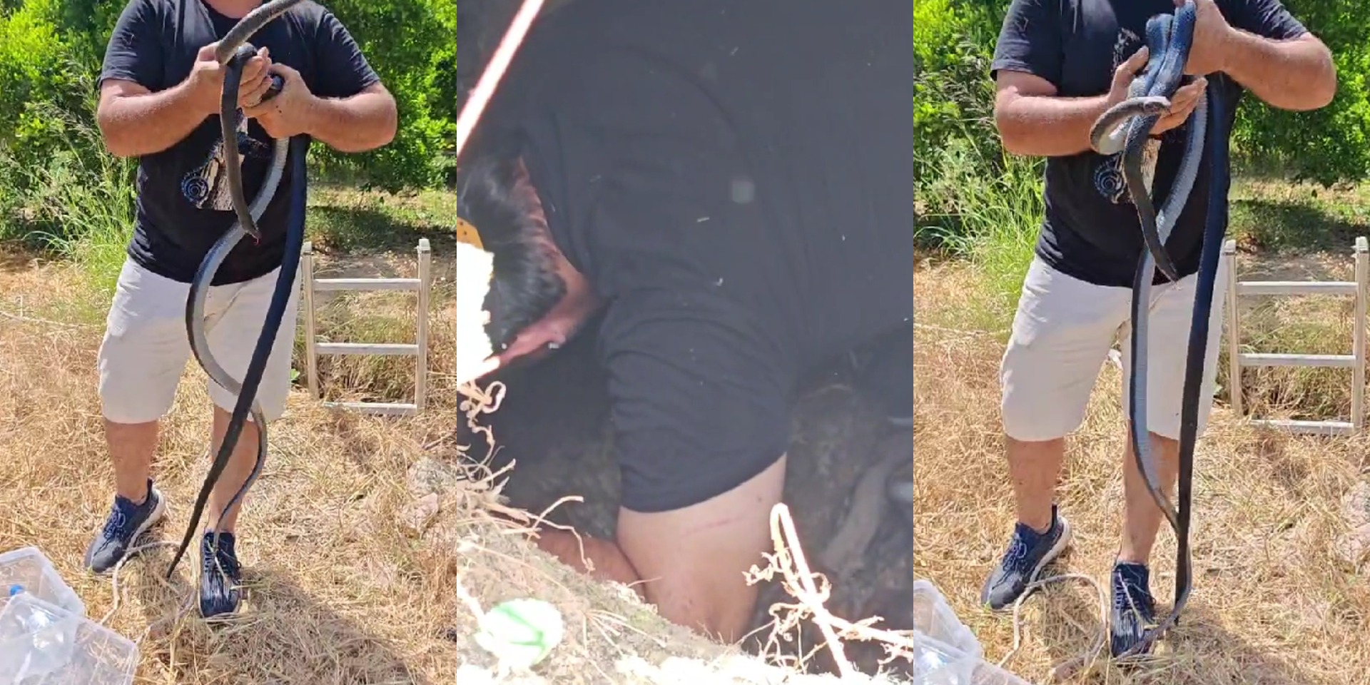Συγκλονιστικό video: Η «αρκετά επικίνδυνη αποστολή» που έφερε εις πέρας γνωστός Κύπριος γητευτής ερπετών