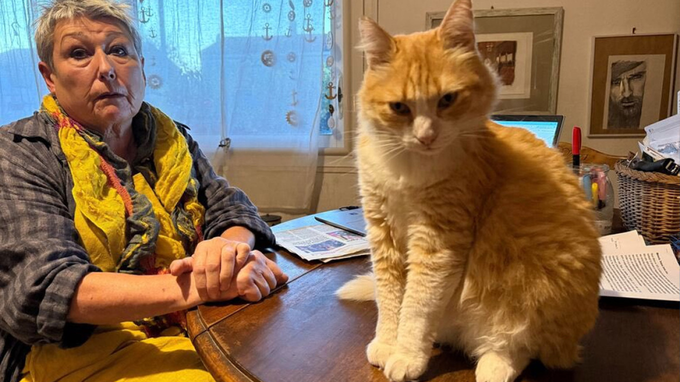 &Gamma;&iota;&alpha;&tau;ί &eta; &iota;&delta;&iota;&omicron;&kappa;&tau;ή&tau;&rho;&iota;&alpha; &epsilon;&nu;ό&sigmaf; ά&tau;&alpha;&kappa;&tau;&omicron;&upsilon; &gamma;ά&tau;&omicron;&upsilon; &kappa;&lambda;ή&theta;&eta;&kappa;&epsilon; &nu;&alpha; &pi;&lambda;&eta;&rho;ώ&sigma;&epsilon;&iota; 100 &epsilon;&upsilon;&rho;ώ &sigma;&tau;&omicron;&nu; &gamma;&epsilon;ί&tau;&omicron;&nu;ά &tau;&eta;&sigmaf; &sigma;&tau;&eta; &Gamma;&alpha;&lambda;&lambda;ί&alpha;