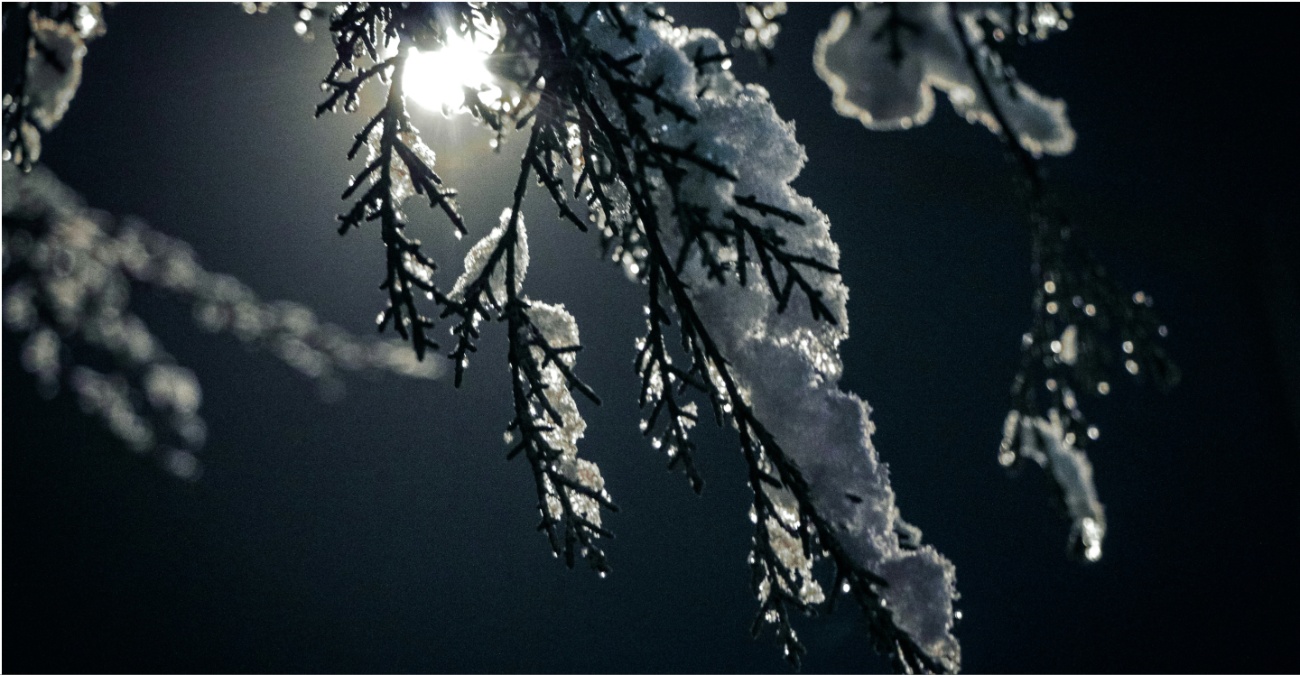 Σε ποιες περιοχές θα σχηματιστεί παγετός – Πότε ανεβαίνει ο υδράργυρος Σε ποιες περιοχές θα σχηματιστεί παγετός – Πότε ανεβαίνει ο υδράργυρος