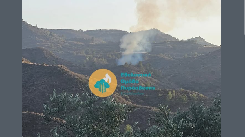 Ξέσπασε πυρκαγιά μεταξύ δύο περιοχών στην επ. Λεμεσού - Δείτε φωτογραφία