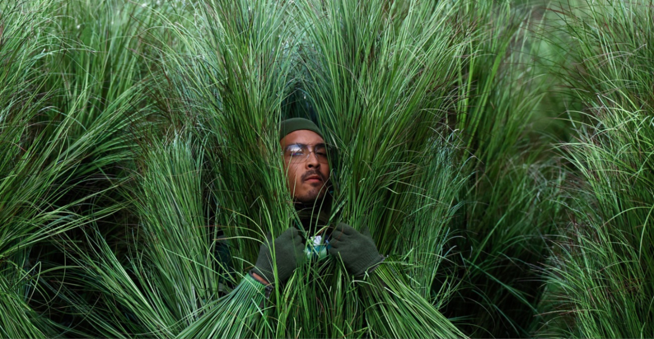 Super Bowl: Έ&beta;&gamma;&alpha;&lambda;&alpha;&nu; &pi;ά&nu;&omega; &alpha;&pi;ό 1.300 &delta;&omicron;&lambda;ά&rho;&iota;&alpha; &kappa;ά&nu;&omicron;&nu;&tau;&alpha;&sigmaf; &tau;&omicron;&upsilon;&sigmaf;... &theta;ά&mu;&nu;&omicron;&upsilon;&sigmaf; &sigma;&tau;&omicron; halftime show &tau;&omicron;&upsilon; Bad Bunny