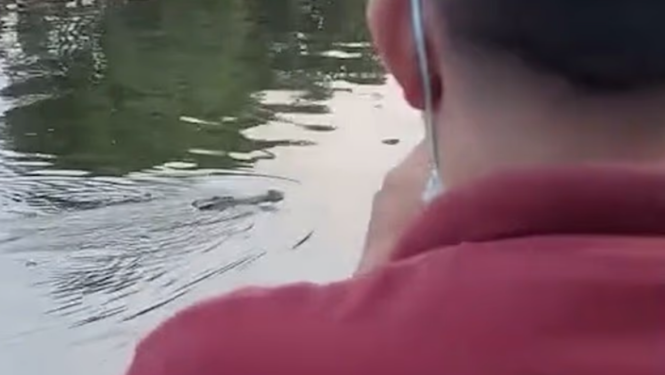 &Phi;&rho;&iota;&kappa;&tau;ό&sigmaf; &theta;ά&nu;&alpha;&tau;&omicron;&sigmaf; &gamma;&iota;&alpha; 10&chi;&rho;&omicron;&nu;&omicron;: &Tau;&omicron;&nu; ά&rho;&pi;&alpha;&xi;&epsilon; &kappa;&rho;&omicron;&kappa;ό&delta;&epsilon;&iota;&lambda;&omicron;&sigmaf; &epsilon;&nu;ώ &kappa;&omicron;&lambda;&upsilon;&mu;&pi;&omicron;ύ&sigma;&epsilon; &mu;&epsilon; &phi;ί&lambda;&omicron;&upsilon;&sigmaf; &tau;&omicron;&upsilon;