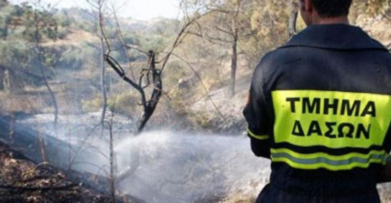 Άμεση επέμβαση έθεσε γρήγορα υπό έλεγχο φωτιά στις «Πλακατζιές» στην Πάφο Άμεση επέμβαση έθεσε γρήγορα υπό έλεγχο φωτιά στις «Πλακατζιές» στην Πάφο