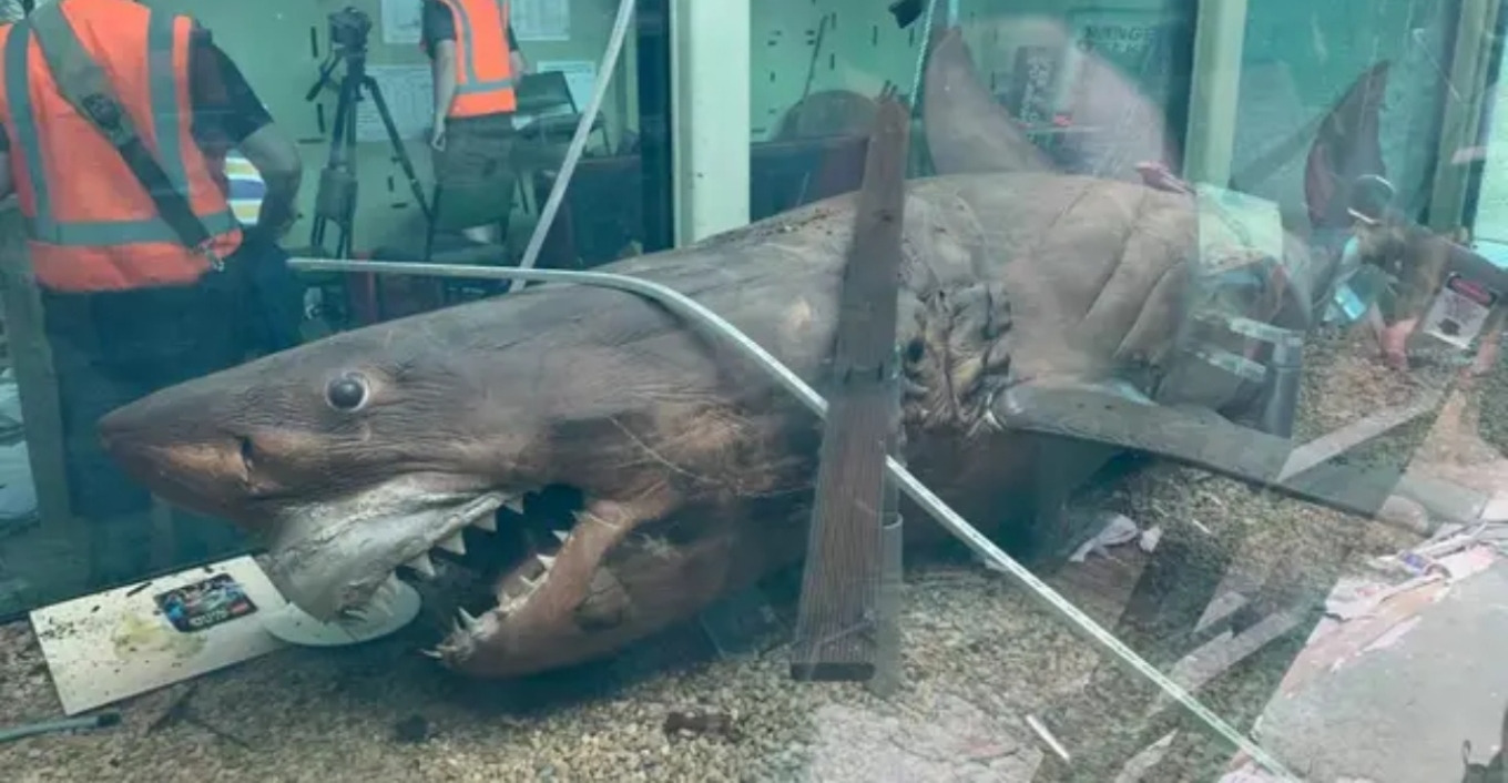 &Eta; &alpha;&pi;ί&sigma;&tau;&epsilon;&upsilon;&tau;&eta; &delta;&iota;&alpha;&delta;&rho;&omicron;&mu;ή &tau;&eta;&sigmaf; &laquo;&Rho;ό&zeta;&iota;&raquo;: &Omicron; &lambda;&epsilon;&upsilon;&kappa;ό&sigmaf; &kappa;&alpha;&rho;&chi;&alpha;&rho;ί&alpha;&sigmaf; &pi;&omicron;&upsilon; &beta;&rho;έ&theta;&eta;&kappa;&epsilon; &sigma;&epsilon; &epsilon;&gamma;&kappa;&alpha;&tau;&alpha;&lambda;&epsilon;&lambda;&epsilon;&iota;&mu;&mu;έ&nu;&omicron; &pi;ά&rho;&kappa;&omicron; &kappa;&alpha;&iota; &epsilon;&pi;έ&sigma;&tau;&rho;&epsilon;&psi;&epsilon; &omega;&sigmaf; έ&kappa;&theta;&epsilon;&mu;&alpha;