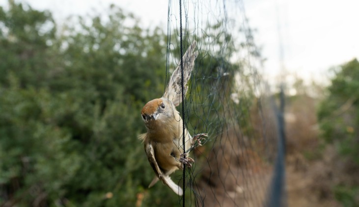 &Upsilon;&pi;ό&theta;&epsilon;&sigma;&eta; &lambda;&alpha;&theta;&rho;&omicron;&theta;&eta;&rho;ί&alpha;&sigmaf;: &laquo;&Tau;&sigma;ά&kappa;&omega;&sigma;&alpha;&nu;&raquo; &tau;&alpha; &xi;&eta;&mu;&epsilon;&rho;ώ&mu;&alpha;&tau;&alpha; 35&chi;&rho;&omicron;&nu;&omicron; &nu;&alpha; &pi;&eta;&gamma;&alpha;ί&nu;&epsilon;&iota; &sigma;&epsilon; &chi;&omega;&rho;ά&phi;&iota; &gamma;&iota;&alpha; &nu;&alpha; &xi;&epsilon;&mu;&pi;&lambda;έ&xi;&epsilon;&iota; ά&gamma;&rho;&iota;&alpha; &pi;&tau;&eta;&nu;ά &alpha;&pi;ό &delta;ί&kappa;&tau;&upsilon;&alpha; &pi;&alpha;&gamma;ί&delta;&epsilon;&upsilon;&sigma;&eta;&sigmaf; - &Delta;&epsilon;ί&tau;&epsilon; &phi;&omega;&tau;&omicron; class=